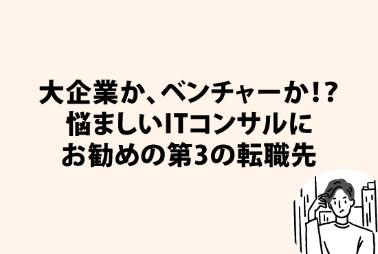 大企業か、ベンチャーか！？悩ましいITコンサルタントにお勧めの第3の転職先画像